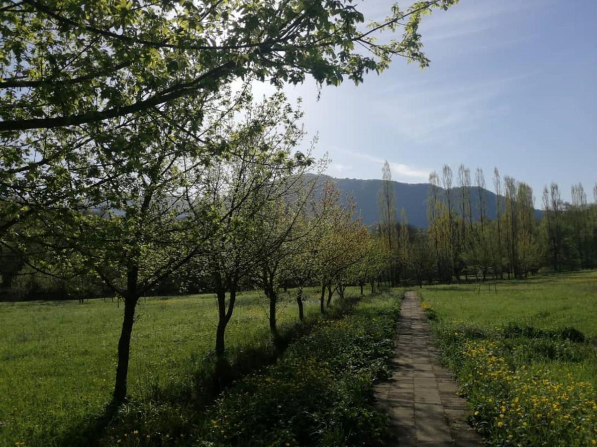 Grand Village Ismayilli Eksteriør bilde